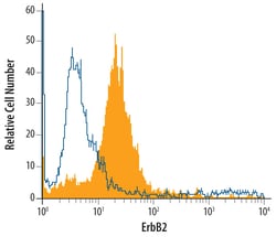 Mouse ErbB2/Her2 Antibody, R D Systems 100 &mu;g | Buy Online | R&D Systems | Fisher Scientific