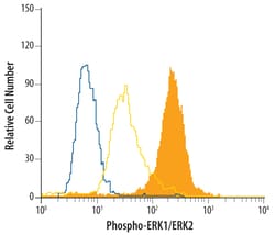 Human/Mouse/Rat Phospho-ERK1(T202/Y204)/ERK2 (T185/Y187) Antibody, R D