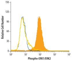 Human/Mouse/Rat Phospho-ERK1 (T202/Y204)/ERK2 (T185/Y187) Antibody, R D