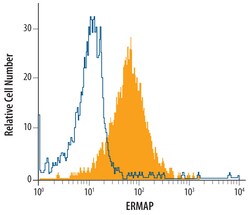Human ERMAP Antibody, R D Systems 25&mu;g; Unlabeled:Antibodies, Monoclonal