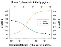 Human Erythropoietin/EPO Antibody, R D Systems:Antibodies:Primary Antibodies