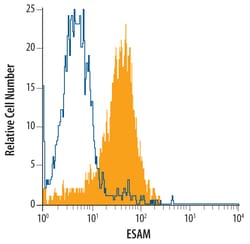 Human ESAM Antibody, R D Systems 100ug; Unlabeled:Antibodies, Monoclonal