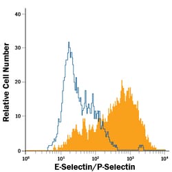 Human E-Selectin/P-Selectin (CD62E/P) Fluorescein-conjugated Antibody,