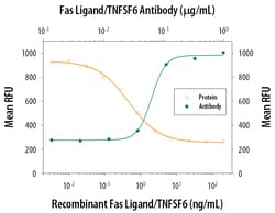 Human Fas Ligand/TNFSF6 Antibody, R D Systems 25&mu;g; Unlabeled:Antibodies,