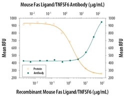 Mouse Fas Ligand/TNFSF6 Antibody, R D Systems 25&mu;g; Unlabeled:Antibodies,