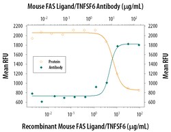 Mouse Fas Ligand/TNFSF6 Antibody, R D Systems 500ug; Unlabeled:Antibodies,