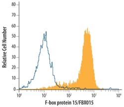 Human F-box protein 15/FBXO15 Antibody, R D Systems 25&mu;g; Unlabeled:Antibodies,