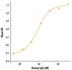 R D Systems Recombinant Human Fc gamma RIIA/CD32a (R167) Protein Lyophilized from a 0.2&mu;m filtered solution in PBS. | Buy Online | R&amp;D Systems&trade; | Fisher Scientific