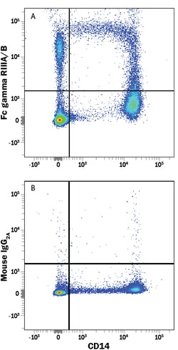 Human Fc gamma RIII (CD16) PE-conjugated Antibody, R D Systems 25 Tests;