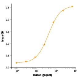 R&D Systems&trade;&nbsp;Recombinant Human Fc gamma RIIIB/CD16b Protein