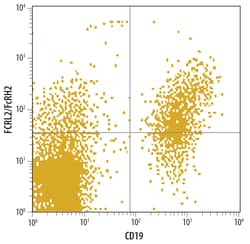 Human FCRL2/FcRH2, FCRL5/FcRH5 Antibody, R D Systems 100ug; Unlabeled:Anticorps,
