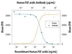 Human FGF acidic/FGF1 Antibody, R D Systems 100&mu;g; Unlabeled:Antibodies,