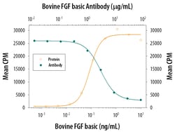 Bovine FGF basic/FGF2/bFGF Antibody, R D Systems 1mg; Unlabeled:Antibodies,