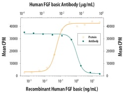 Human FGF basic/FGF2/bFGF Antibody, R D Systems 100&mu;g; Unlabeled:Antibodies,