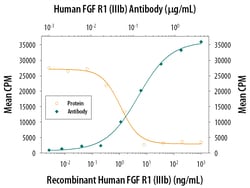 Human FGFR1 (IIIb) Antibody, R D Systems:Antibodies:Primary Antibodies