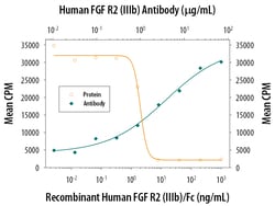 Human FGFR2 (IIIb) Antibody, R D Systems 500ug; Unlabeled:Antibodies, Monoclonal