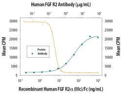 Human FGFR2 Antibody, R D Systems:Antibodies:Primary Antibodies