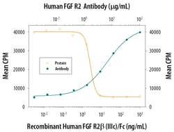 Human FGFR2 Antibody, R D Systems 100&mu;g; Unlabeled:Antibodies, Monoclonal