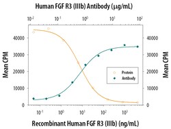 Human FGFR3 (IIIb) Antibody, R D Systems 500ug; Unlabeled:Antibodies, Monoclonal
