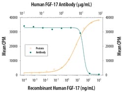 Human FGF-17 Antibody, R D Systems 25&mu;g; Unlabeled:Antibodies, Polyclonal