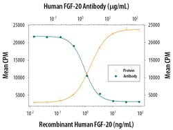 Human FGF-20 Antibody, R D Systems 25&mu;g; Unlabeled:Antibodies, Polyclonal