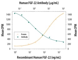 Human FGF-22 Antibody, R D Systems 25&mu;g; Unlabeled:Antibodies, Monoclonal