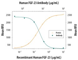 Human FGF-23 Antibody, R D Systems 100&mu;g; Unlabeled:Antibodies, Polyclonal
