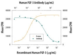 Human FGF-3 Antibody, R D Systems 25&mu;g; Unlabeled:Antibodies, Monoclonal