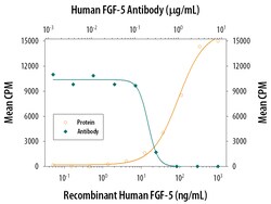 Human FGF-5 Antibody, R D Systems 100&mu;g; Unlabeled:Antibodies, Polyclonal