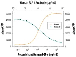 Human FGF-6 Antibody, R D Systems 25&mu;g; Unlabeled:Antibodies, Monoclonal