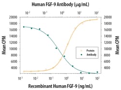 Human FGF-9 Antibody, R D Systems:Antibodies:Primary Antibodies