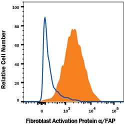 Human Fibroblast Activation Protein alpha/FAP PE-conjugated Antibody, R