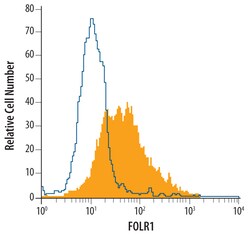 Human FOLR1 Antibody, R D Systems 100&mu;g; Unlabeled:Antibodies, Polyclonal