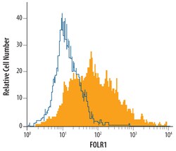 Human FOLR1 Antibody, R D Systems 25&mu;g; Unlabeled:Antibodies, Monoclonal