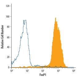 Human FoxP1 APC-conjugated Antibody, R D Systems 100 Tests; APC:Antibodies,
