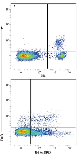 Human/Mouse FoxP3 Antibody, R D Systems 25 Tests; PE:Antibodies, Monoclonal