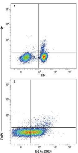 Human/Mouse FoxP3 PE-conjugated Antibody, R D Systems 100 Tests; PE:Antibodies,