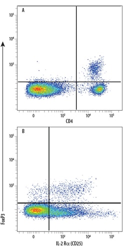 Human/Mouse FoxP3 PE-conjugated Antibody, R D Systems 100 Tests; PE:Antibodies,