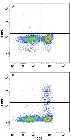 Human/Mouse FoxP3 Antibody, R D Systems 25 &mu;g; Unconjugated:Antibodies,