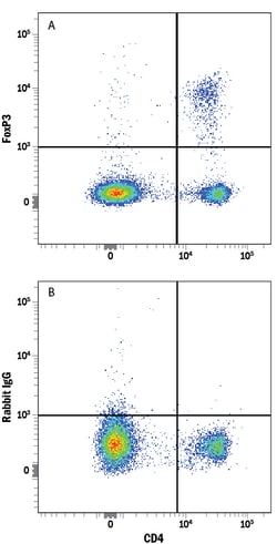 Human/Mouse FoxP3 Antibody, R D Systems 25 &mu;g; Unconjugated:Antibodies,