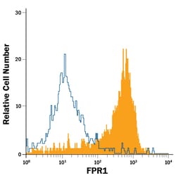 Human FPR1 PE-conjugated Antibody, R D Systems 100 Tests | Buy Online | R&D Systems | Fisher Scientific