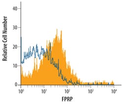 Mouse FPRP/PTGFRN Antibody, R D Systems 100&mu;g; Unlabeled:Antibodies,