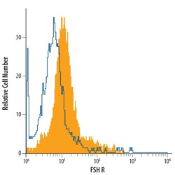 Human FSHR PE-conjugated Antibody, R D Systems 100 Tests | Buy Online | R&D Systems | Fisher Scientific