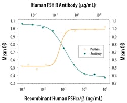 Human FSHR Antibody, R D Systems 500ug; Unlabeled:Anticuerpos