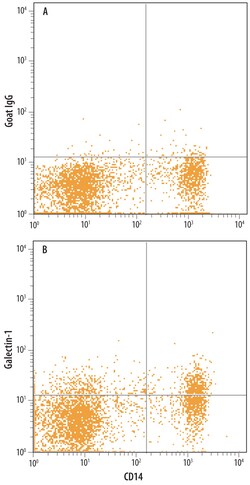 Human Galectin-1 Antibody, R D Systems 25&mu;g; Unlabeled:Antibodies, Polyclonal