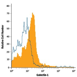 Mouse Galectin-1 PE-conjugated Antibody, R D Systems 100 Tests; PE:Antibodies,