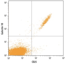 Human Galectin-10 Antibody, R D Systems 100ug; Unlabeled:Antibodies, Monoclonal