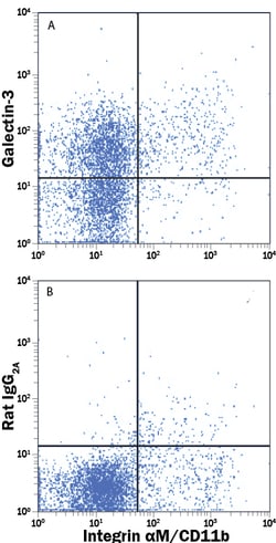 Mouse Galectin-3 PE-conjugated Antibody, R D Systems 100 Tests; PE:Antibodies,