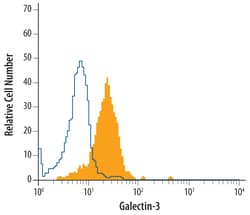 Human Galectin-3 Antibody, R D Systems 25&mu;g; Unlabeled:Antibodies, Monoclonal