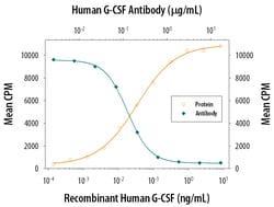 Human G-CSF Antibody, R D Systems 1mg; Unlabeled:Antibodies, Polyclonal